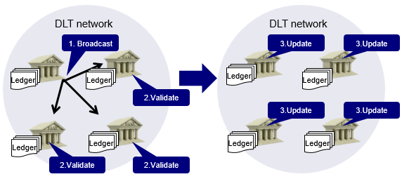Image of DLT recording process. The details are shown in the main text.